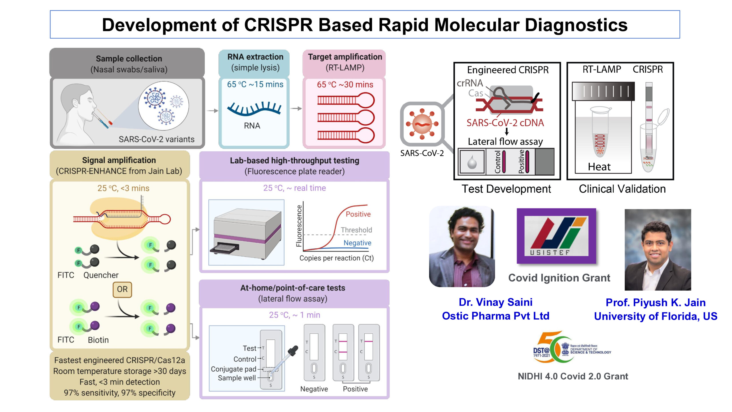 Development of CRISPR Based Rapid Molecular Diagnostics